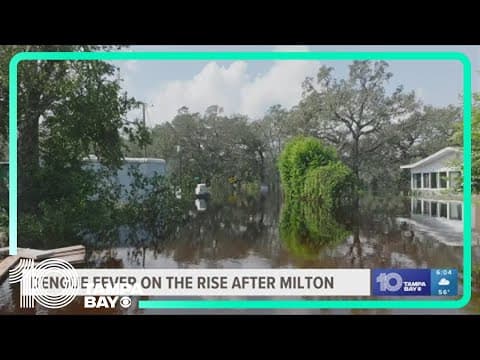 Dengue fever on the rise in Florida: Ways to protect yourself from mosquito-borne illness