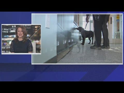 Drug-sniffing dogs will begin patrolling Loudoun Co. schools