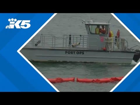 Navy jet based in Whidbey Island crashes off the coast of San Diego