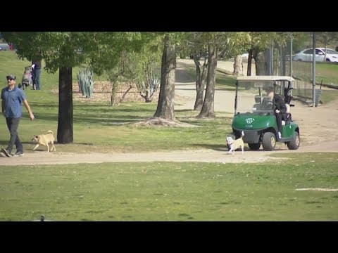 Multiple San Diego County golf courses allow dogs to play with their owners