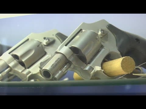 New Indiana laws proposed for guns in 2024