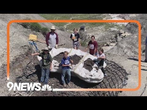 Teenage T. rex is going on display in Colorado