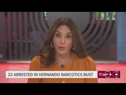 Hernando County sheriff to discuss major vice and narcotics operation