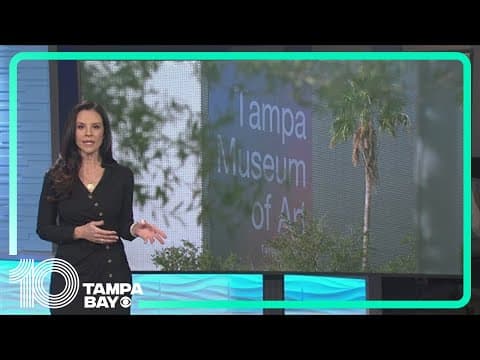 Security guard injured in shooting outside Tampa Museum of Art
