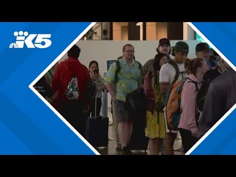 Alaska Airlines ground stop causes delays at Sea-Tac Airport