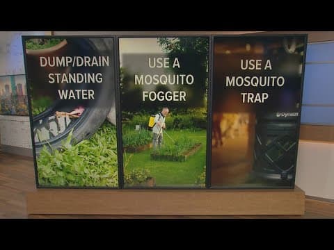 What you can do to at home to keep mosquitoes under control