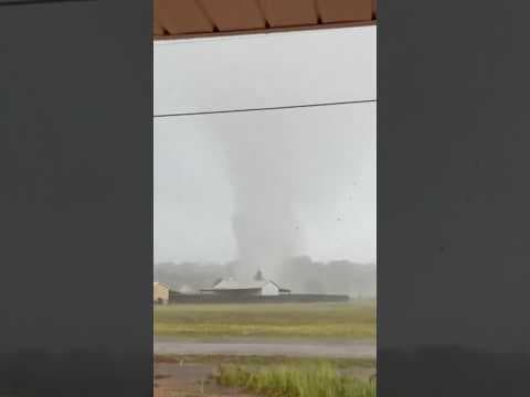 Tornadoes Touch Down in Louisiana and Alabama