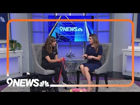 Pepper's Senior Dog Sanctuary benefit gala happening Thursday