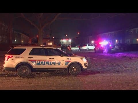 2 Columbus teens charged in separate fatal shootings in last 30 days
