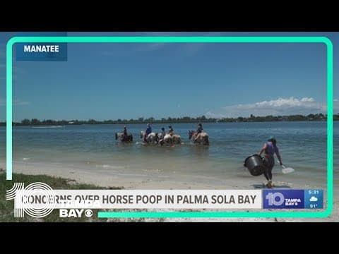 Environmentalists blame horseback riding on poor water quality