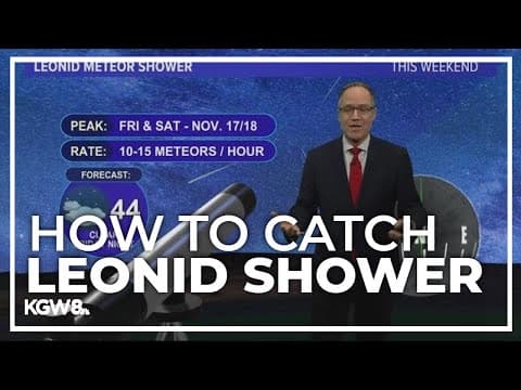 Leonid Meteor Shower: How to catch the best view Friday night