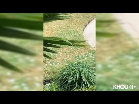 Video shows hail in Cypress, Texas