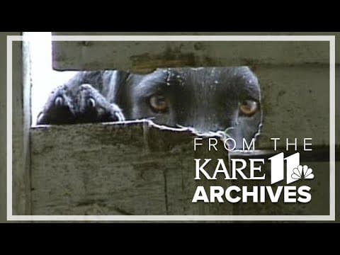 Adopt-A-Pet (1993) From the Archives