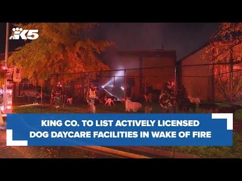 Former clients of now-closed SODO dog daycare support increased transparency