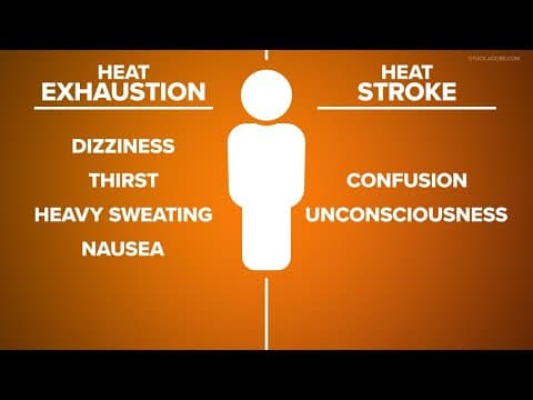 Heat can quickly turn dangerous if you don't know the signs to look out for