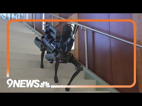 Denver Police's first robot 'dog' sparks concerns from technology expert