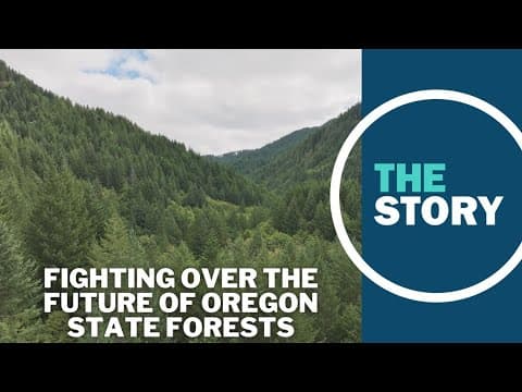 Compromise is a bitter pill as Oregon moves to finalize plan balancing habitat, timber concerns
