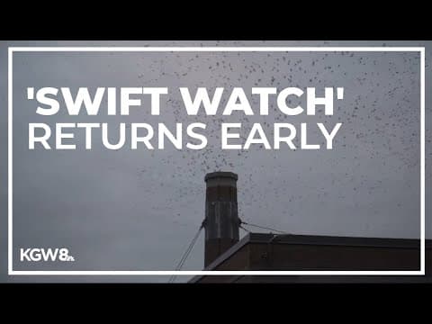 'Swift Watch' returns to Chapman Elementary earlier than usual