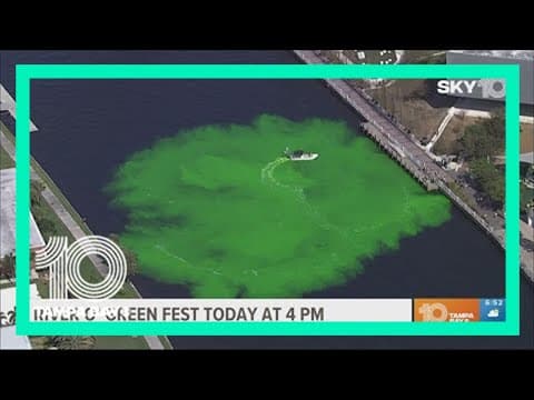 Tampa to dye Hillsborough River green on Friday afternoon