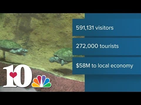 Zoo Knoxville surpasses 2021 new attendance record, setting new record in 2023