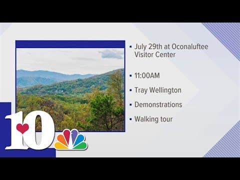 GSMNP to host Tray Wellington Band on July 29