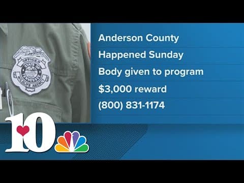 Bull Elk illegally killed in Anderson County