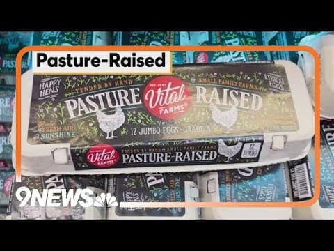 Deciphering egg labels as prices soar