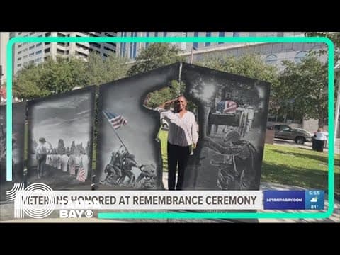 Tampa holds Veterans Day memorial to honor Gold Star Families