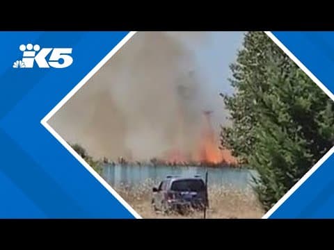 Brush fire in Thurston County under control