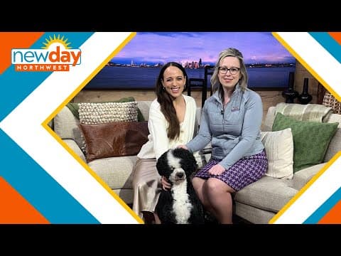 Seattle attorney and her show dog compete in Westminster Kennel Club Dog Show - New Day NW