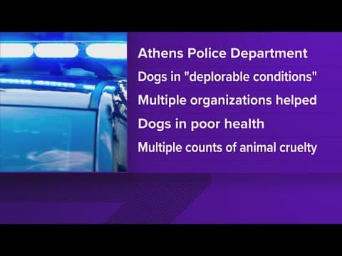 Athens police seize more than 42 dogs in animal cruelty case