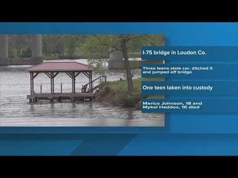 Autopsy reports released for 2 teens who drowned after jumping off I-75 bridge during chase
