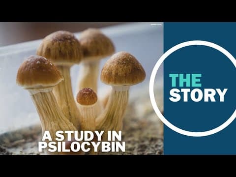Through Oregon's psilocybin therapy industry, scientists now have a ready way to study psychedelics