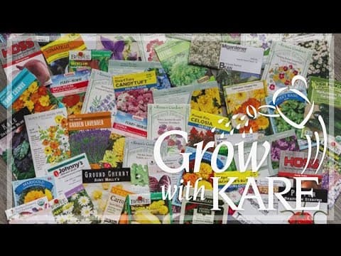 Grow with KARE: Planting old seeds