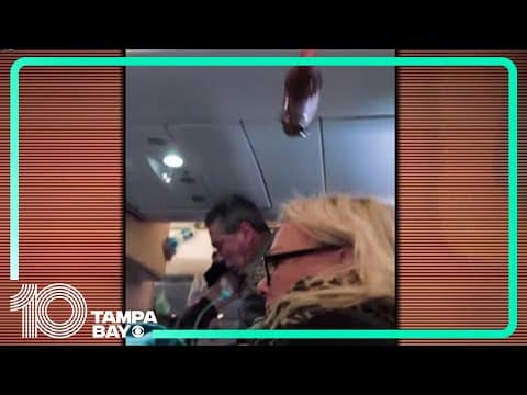 Heavy turbulence forces Scandinavian Airlines flight bound for Miami to return to Europe