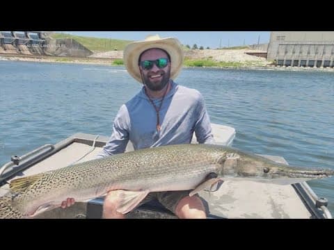 Massive alligator gar caught in Trinity River