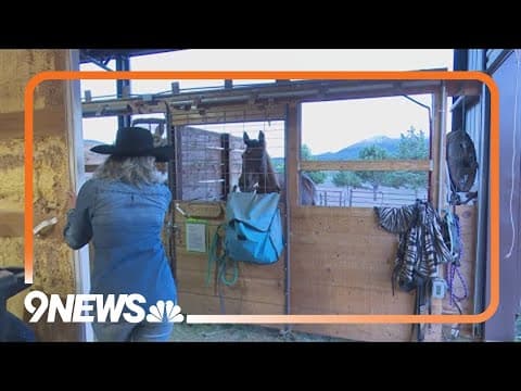 BLM ends program for Colorado inmates to train wild horses