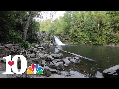A hike to Abrams Falls in the Great Smoky Mountains | 10Explores