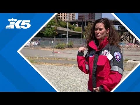 Tacoma police searching for person responsible for at least 5 arson fires around the city