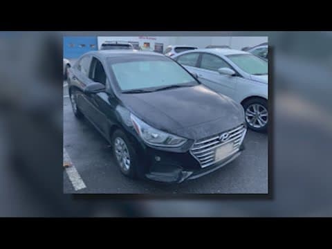 Car owner stops attempted car thief