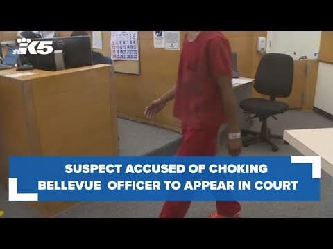 Burglary suspect accused of choking Bellevue officer to appear in court