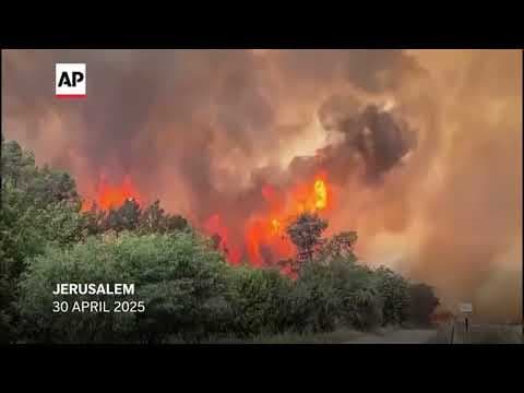 Blaze leaves woodland scorched in a hilly area outside Jerusalem