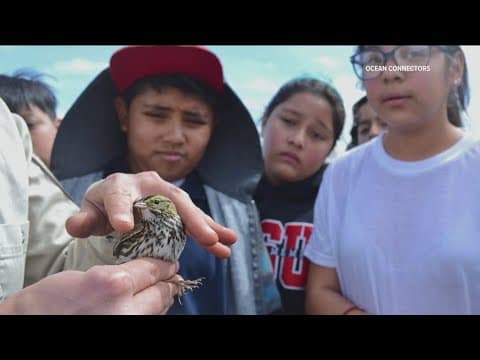 Minority-owned businesses in San Diego can apply to tourism Accelerator program