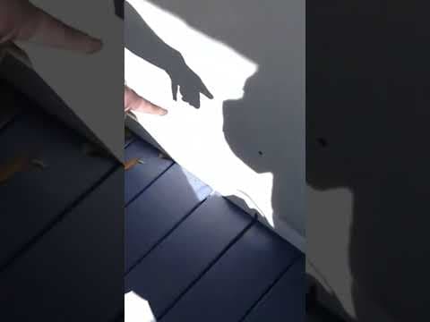 Homeowner shot at while stopping string of car burglaries in New Orleans #crimes #news