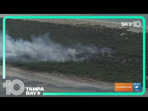 What Egmont Key looks like after a brush fire burned 30 acres
