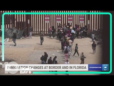 Tampa immigration attorney says it may be years before migrants get 'day in court'