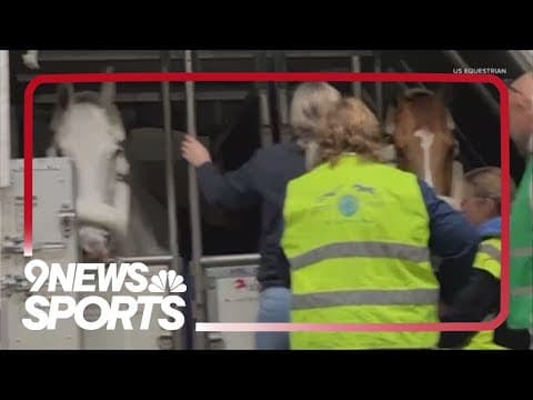 How Olympic equestrians transport their horses to the Paris for the Olympic Games
