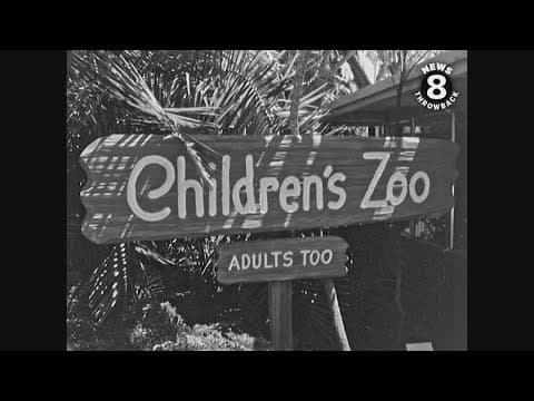 San Diego Zoo Children's Zoo 1965