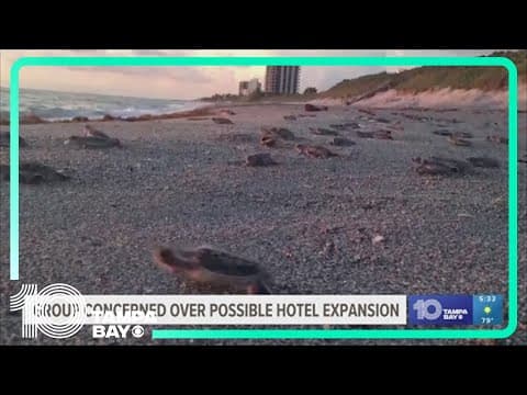 Group concerned Tradewinds Islands Resort expansion would impact coastal wildlife