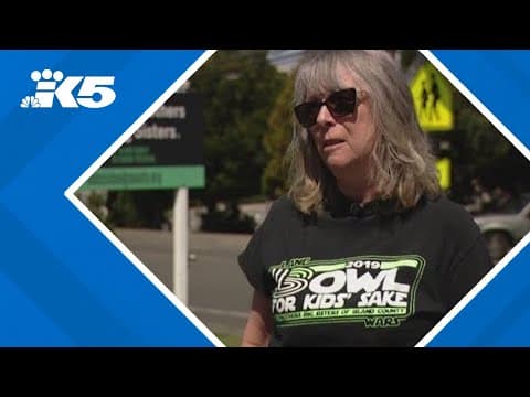 Big Brothers Big Sisters of Island County to close after 26 years